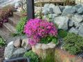 DSC00269