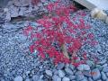 DSC00280