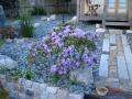 DSC00289