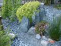 DSC00290