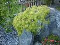 DSC00293