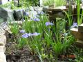 DSC00386