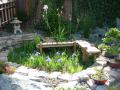 DSC00397