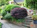 DSC00405