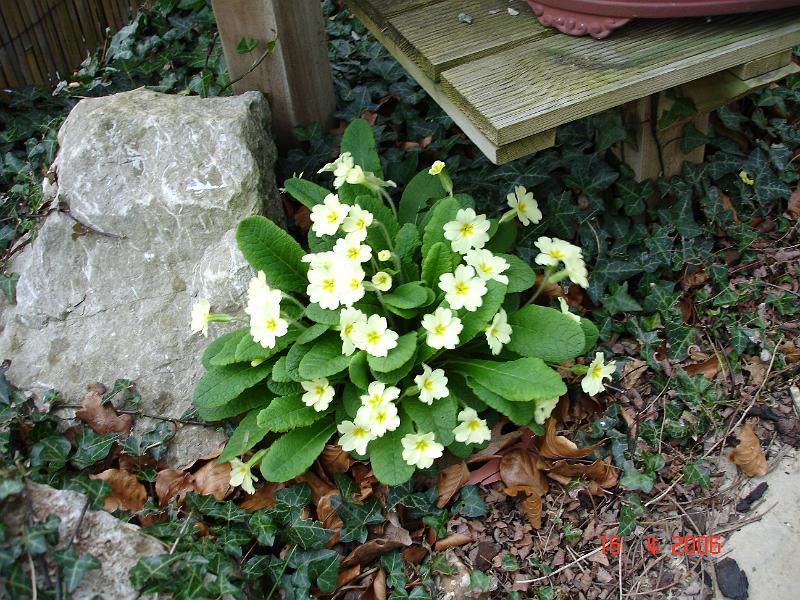 DSC00670.JPG
