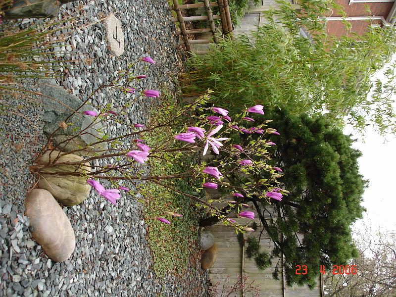 DSC00678.JPG