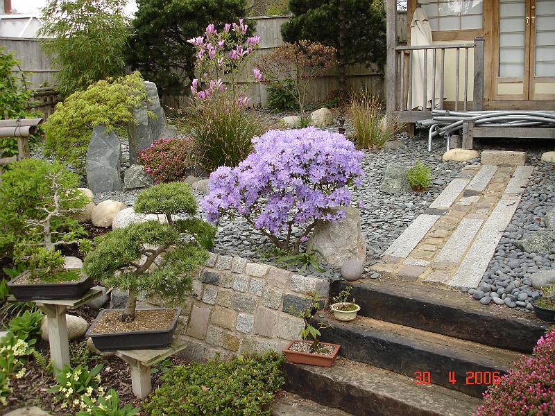 DSC00719.JPG