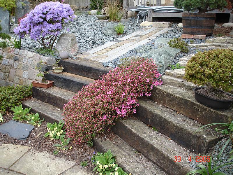 DSC00720.JPG