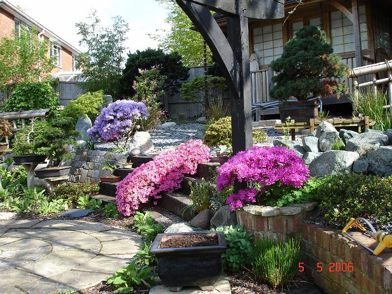 DSC00730.JPG