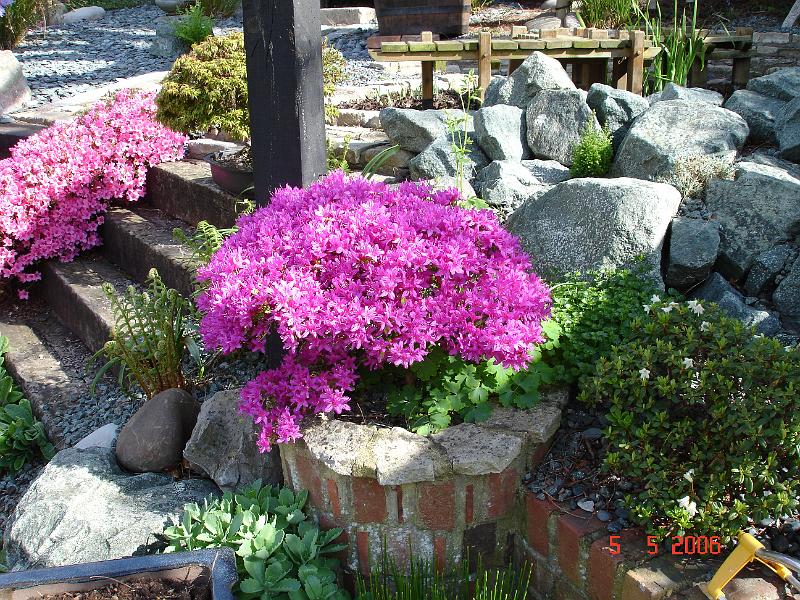 DSC00732.JPG