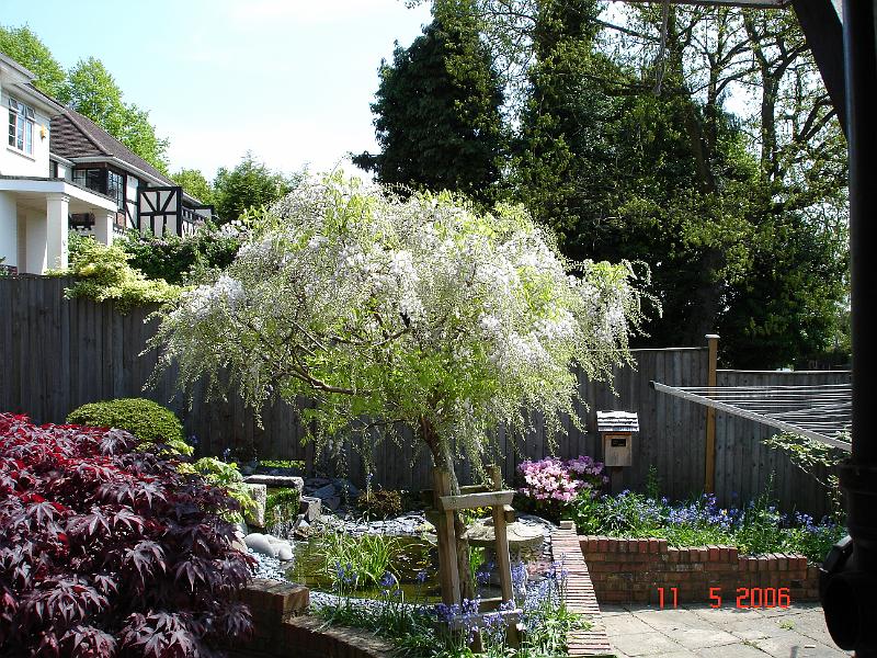 DSC00755.JPG
