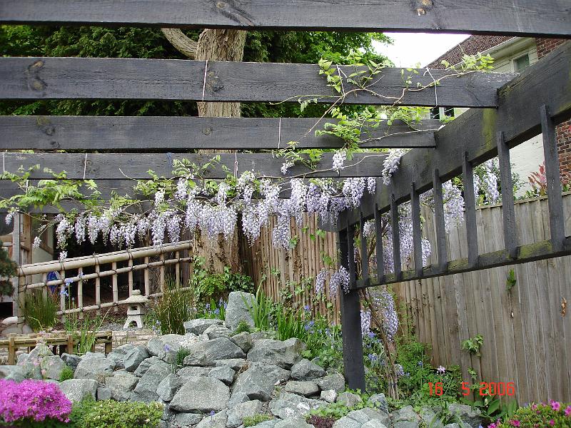 DSC00780.JPG