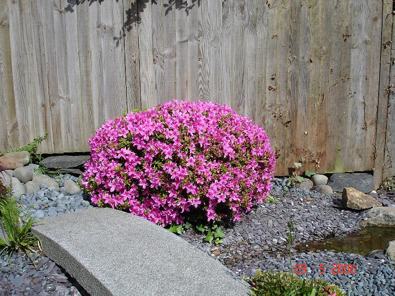 DSC00857.JPG