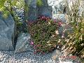DSC00718