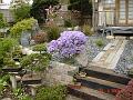 DSC00719