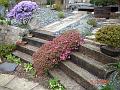 DSC00720