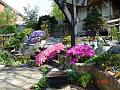 DSC00730
