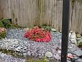 DSC00739