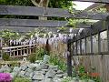 DSC00777