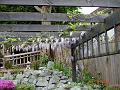 DSC00780