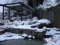 DSC01243