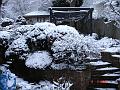DSC01245