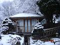 DSC01247