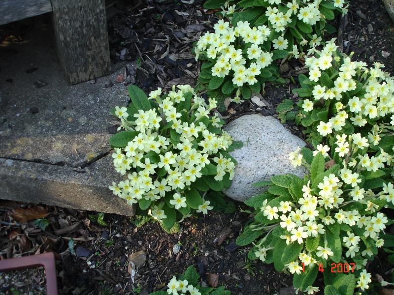 DSC01766.JPG