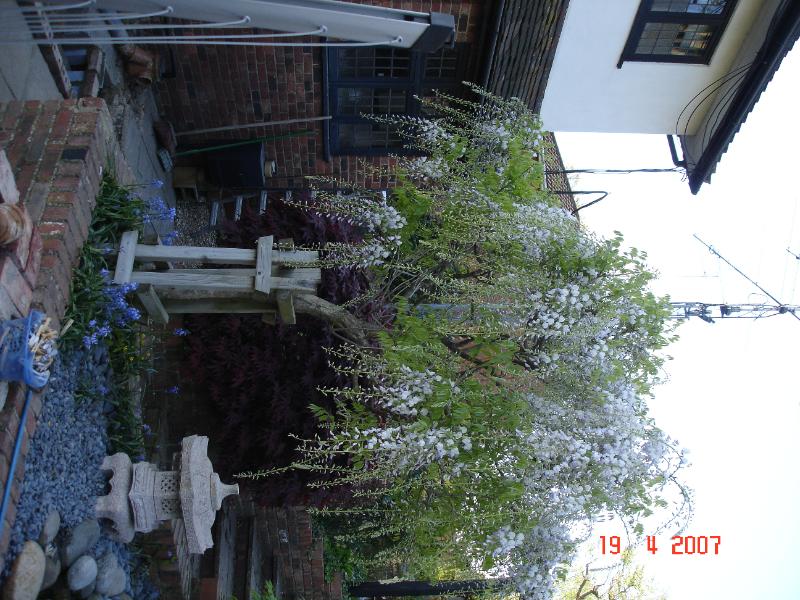 DSC02076.JPG