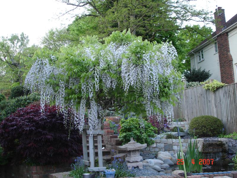 DSC02184.JPG