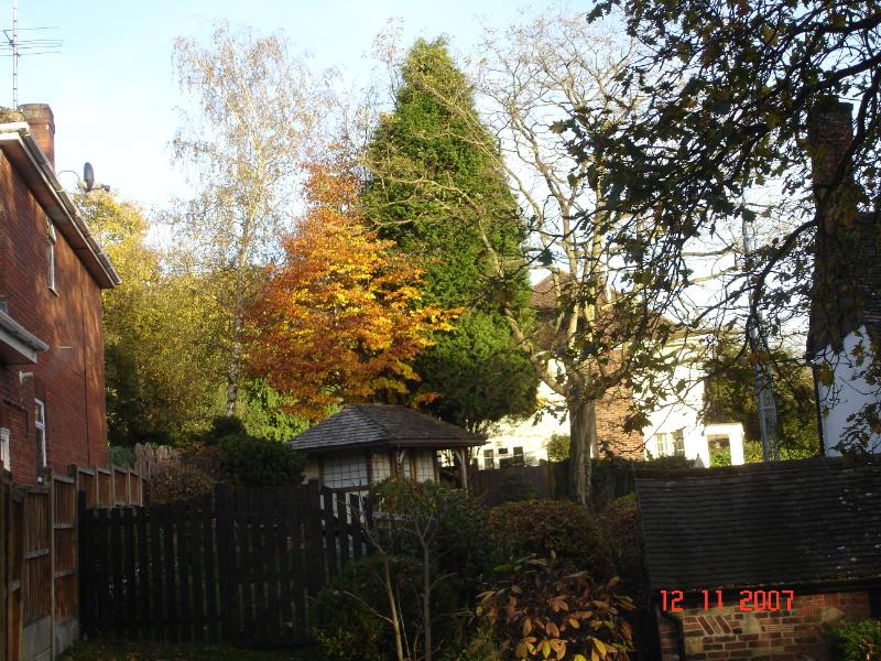 DSC03090.JPG