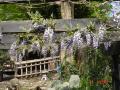 DSC02101