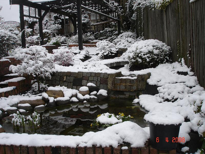 DSC03255.JPG