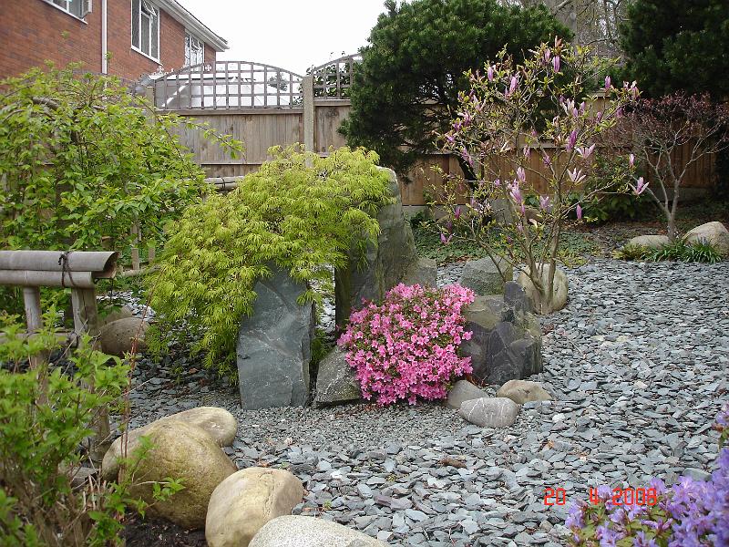 DSC03285.JPG