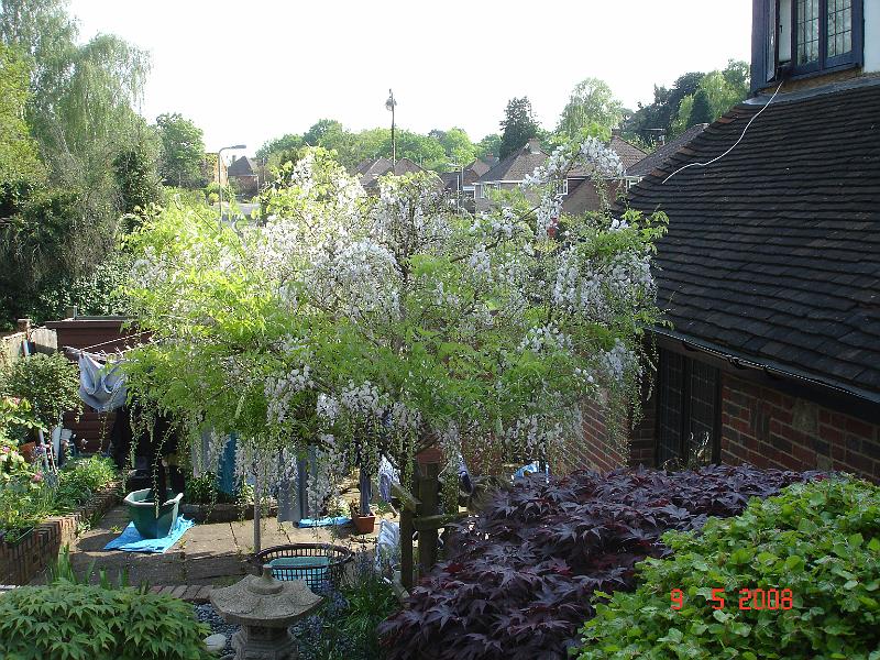 DSC03316.JPG