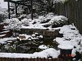 DSC03255