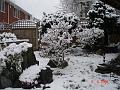 DSC03257
