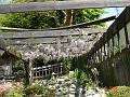 DSC03297