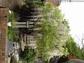 DSC03320