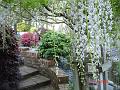 DSC03327
