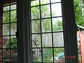 DSC03329
