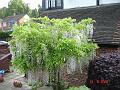 DSC03358